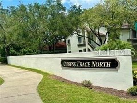 A home in SAFETY HARBOR