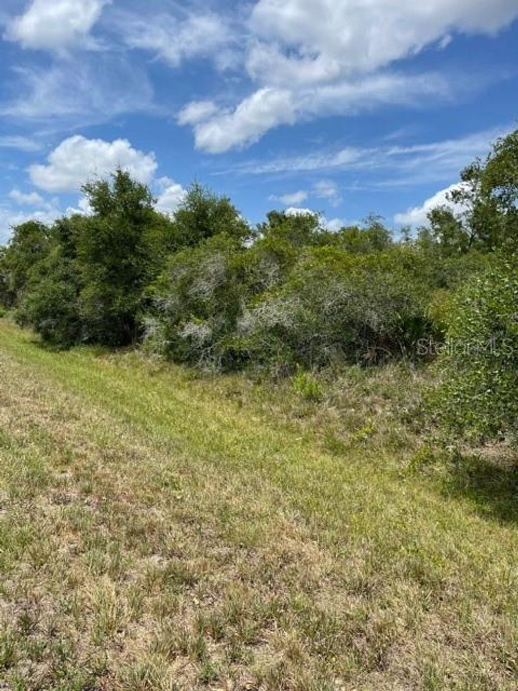 Photo of 33514 Washington Loop Road, Punta Gorda, FL 33982 (MLS # C7443502)