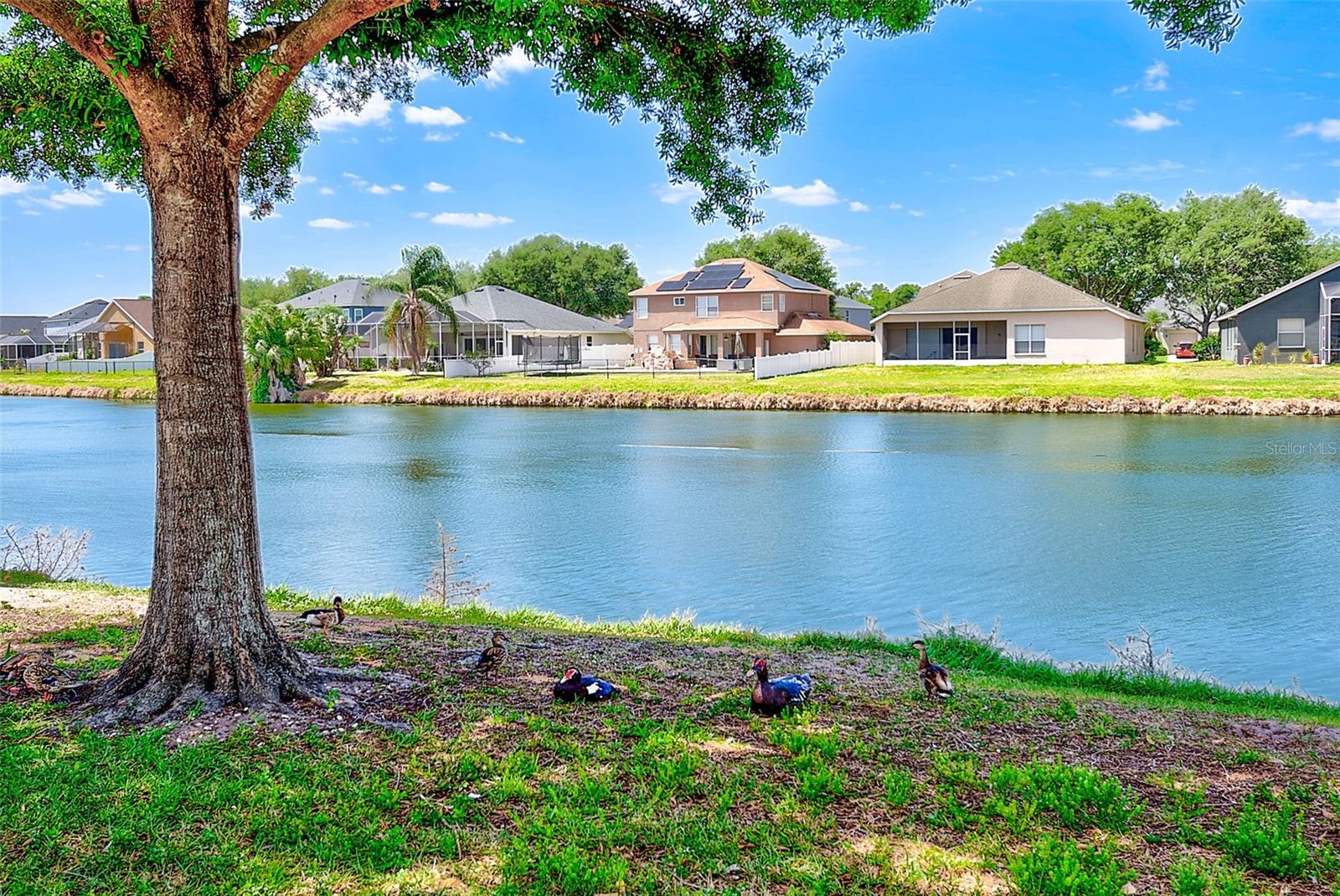 OAK CREEK PRCL 2 UNIT 2A - Residential