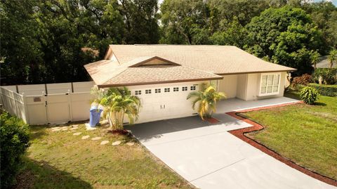 A home in TAMPA