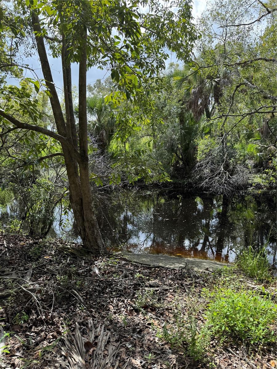 ACREAGE & UNREC - Land