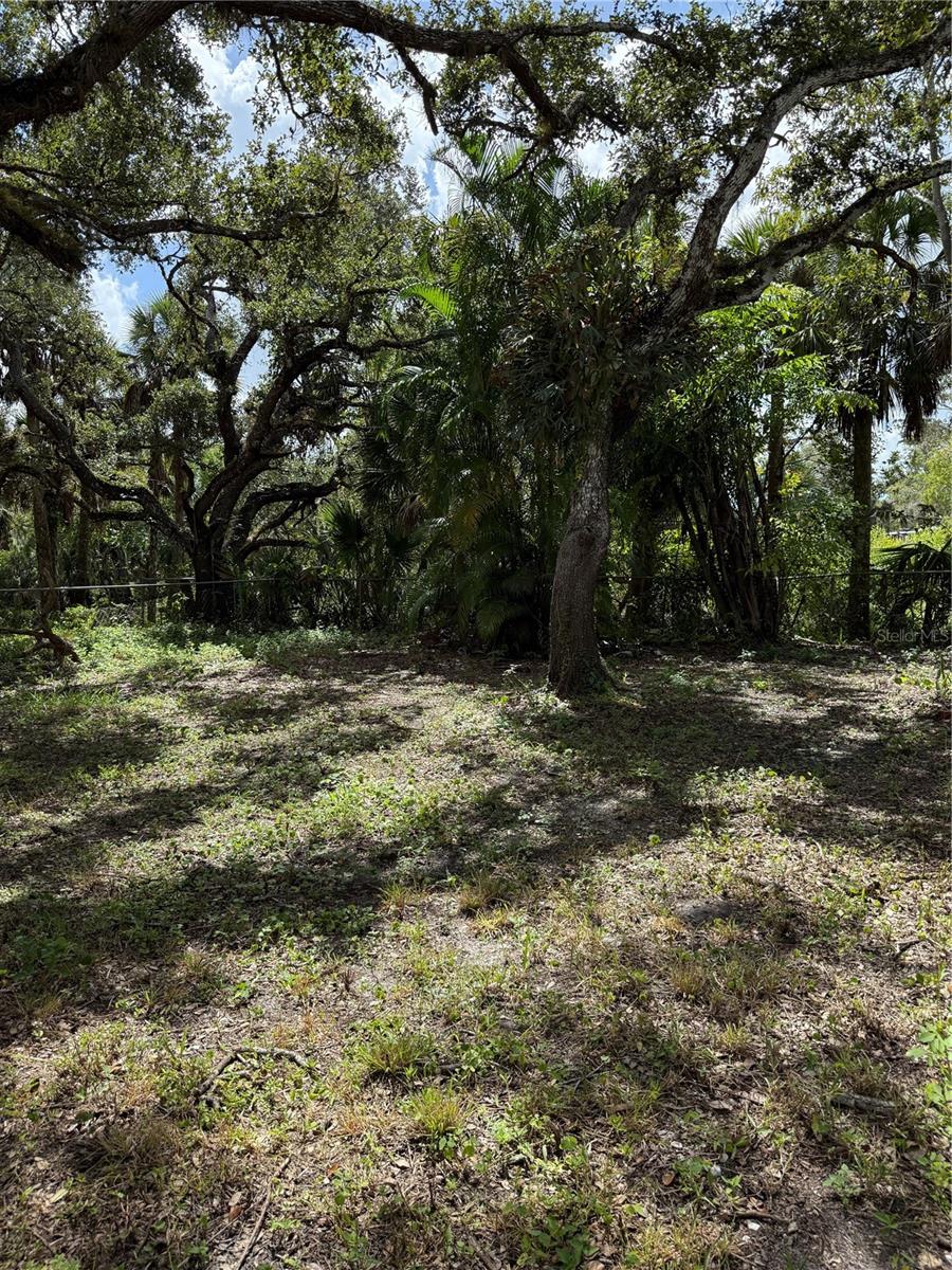 ACREAGE & UNREC - Land