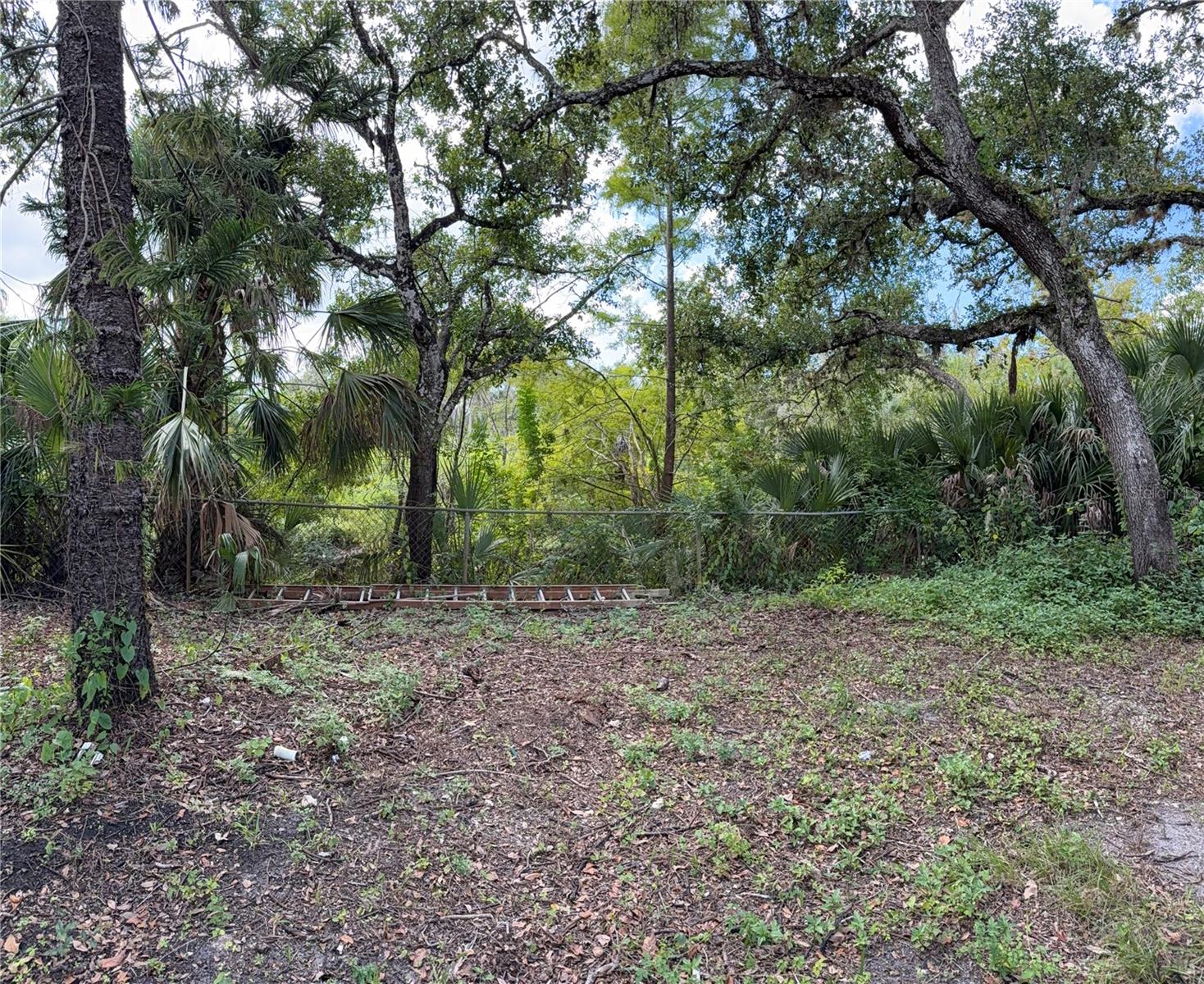 ACREAGE & UNREC - Land