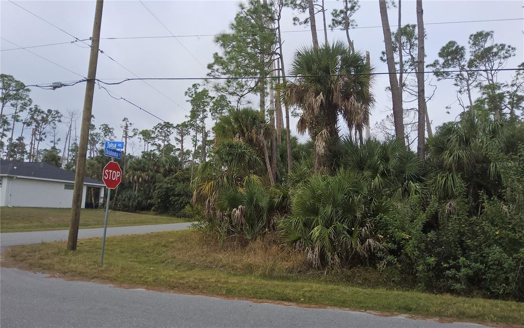 Photo of 17 Oklahoma Street, North Port, FL 34286 (MLS # C7520170)