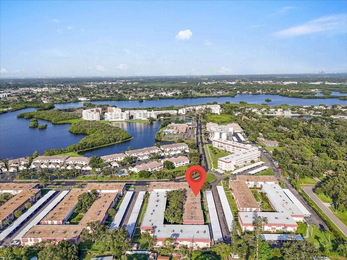 Great opportunity to own a pet friendly, maintenance free home at a great price in the sought after community of Long Bayou. This is a gated 55+ community with beautiful scenery and wildlife to enjoy while taking a walk down one of the many sidewalks or have a seat on a bench along side one of the beautiful water features. This community offers many amenities including Tennis Courts, Heated Pool & Spa, Fitness Center, clubhouse and assigned parking. Just minutes away from shopping, dining, the best Gulf beaches, and downtown St Pete. Affordable, comfortable, and convenient- this is Florida living at it's best!