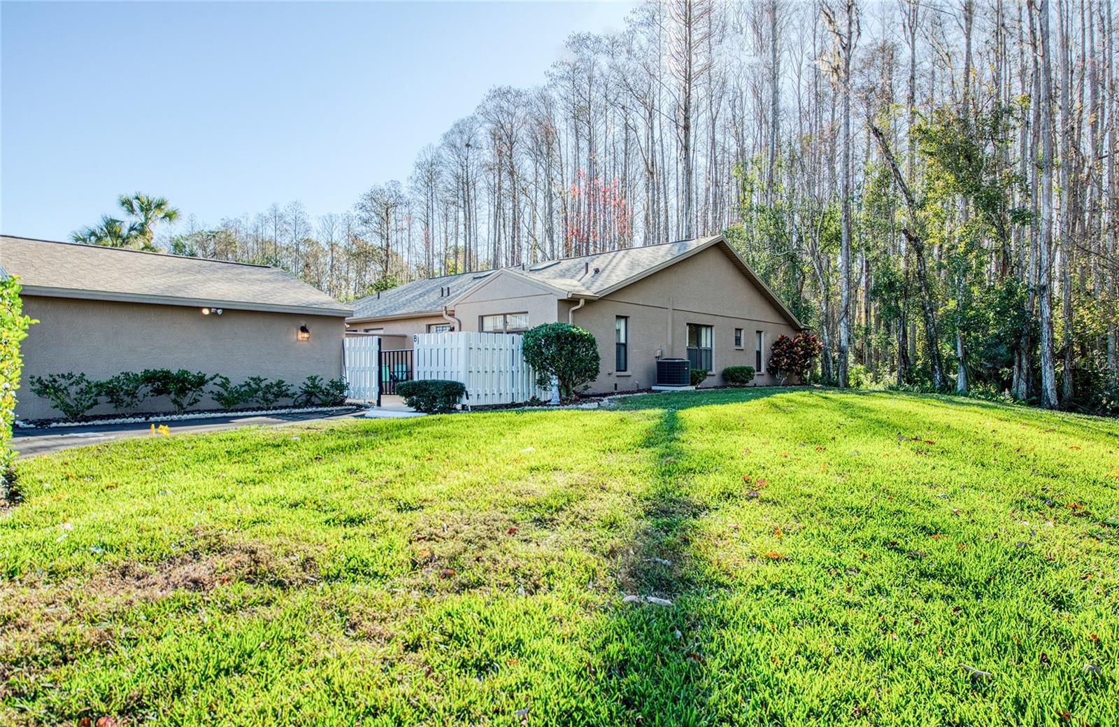 PINE RIDGE AT LAKE TARPON VILLAGE - Residential