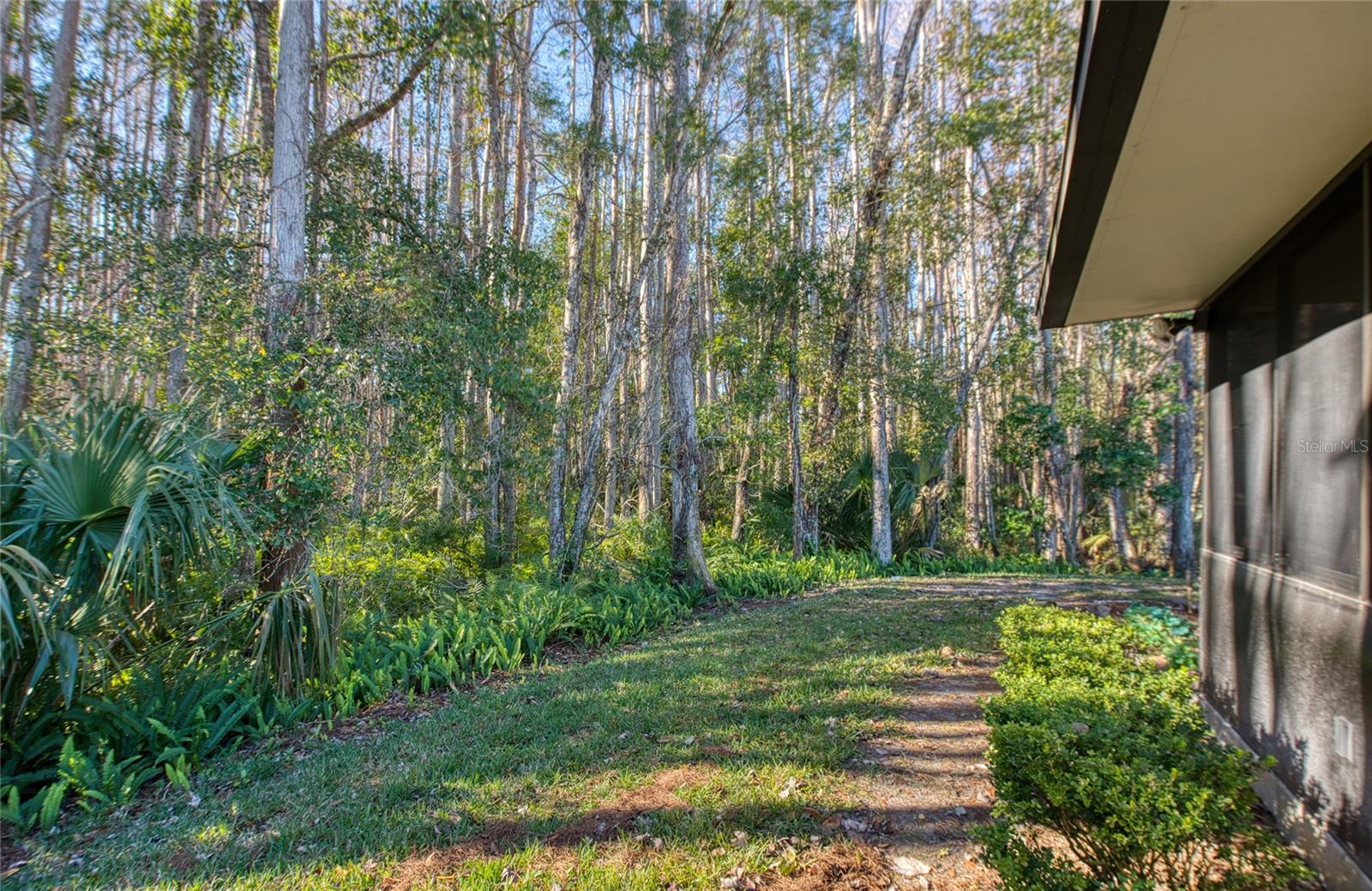 PINE RIDGE AT LAKE TARPON VILLAGE - Residential