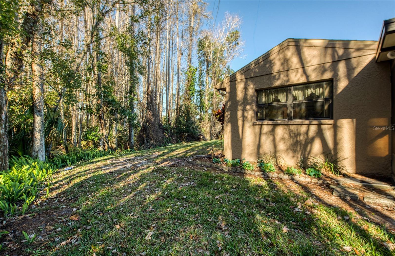 PINE RIDGE AT LAKE TARPON VILLAGE - Residential