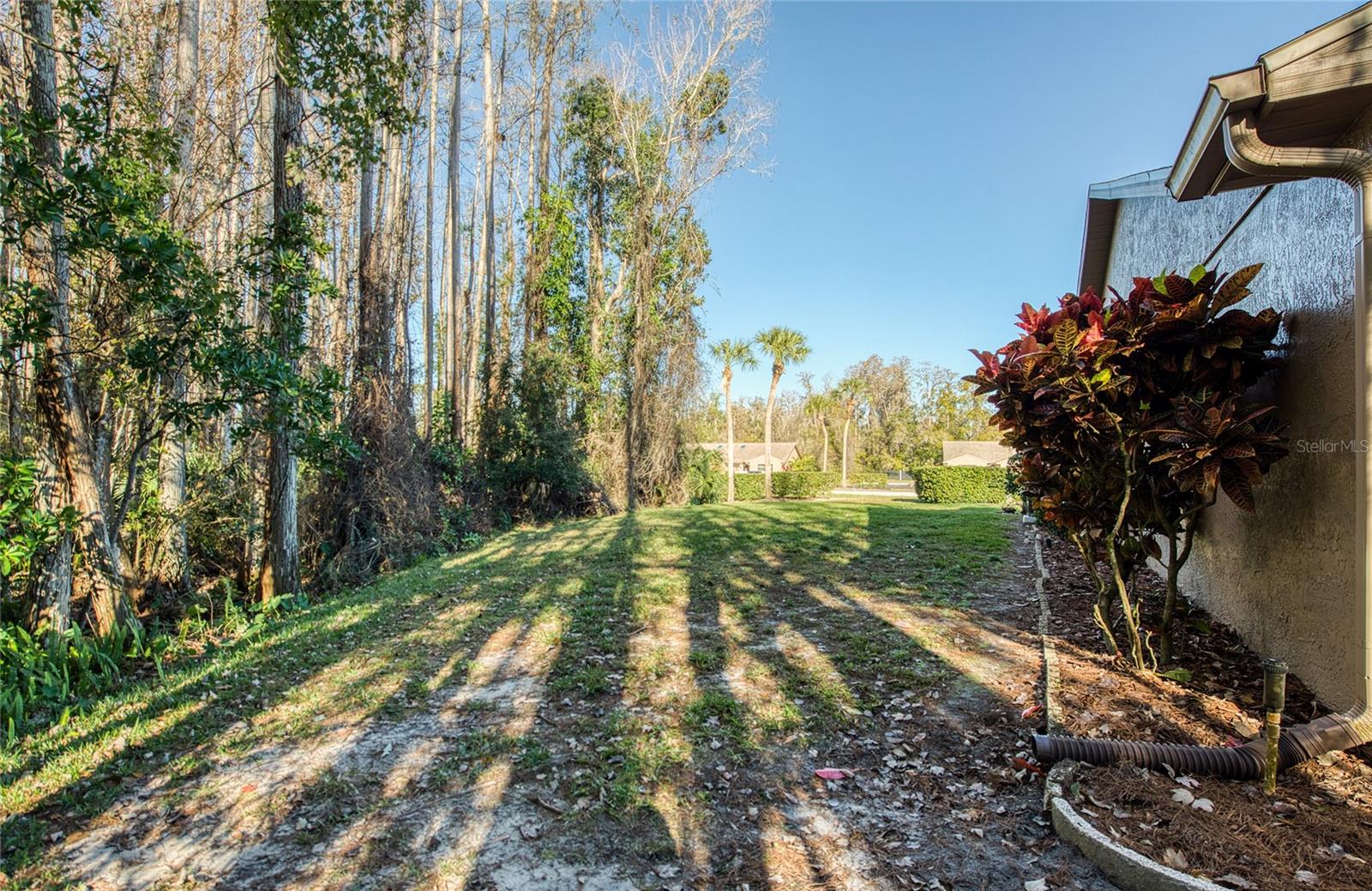 PINE RIDGE AT LAKE TARPON VILLAGE - Residential