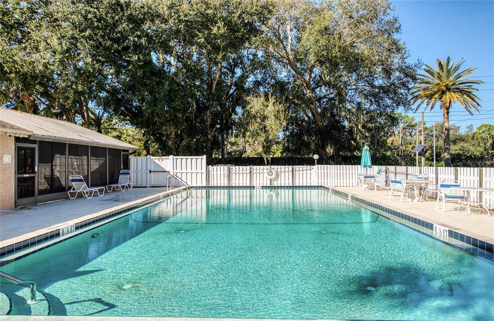 PINE RIDGE AT LAKE TARPON VILLAGE - Residential