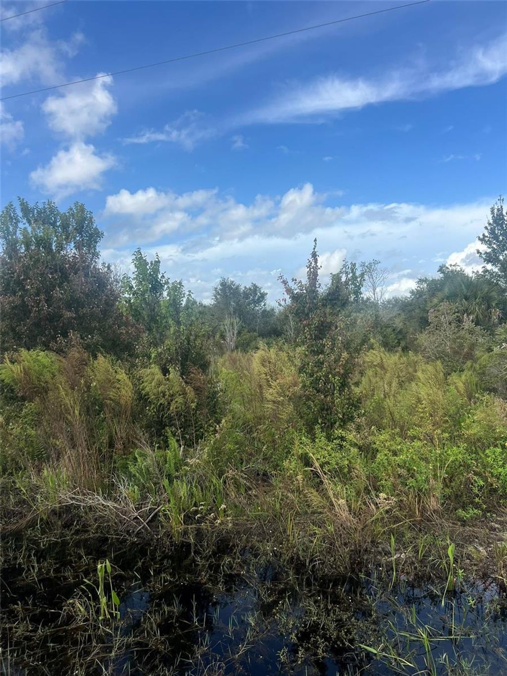 Photo of 19089 NW 282nd Street, Okeechobee, FL 34972 (MLS # OK225691)