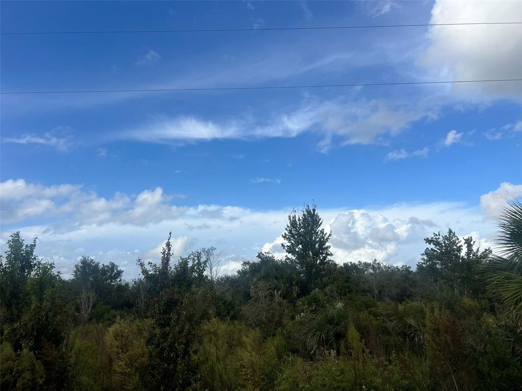 Photo of 19089 NW 282nd Street, Okeechobee, FL 34972 (MLS # OK225691)