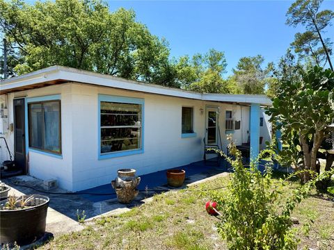 27614 JEAN AVENUE PAISLEY FL 32767