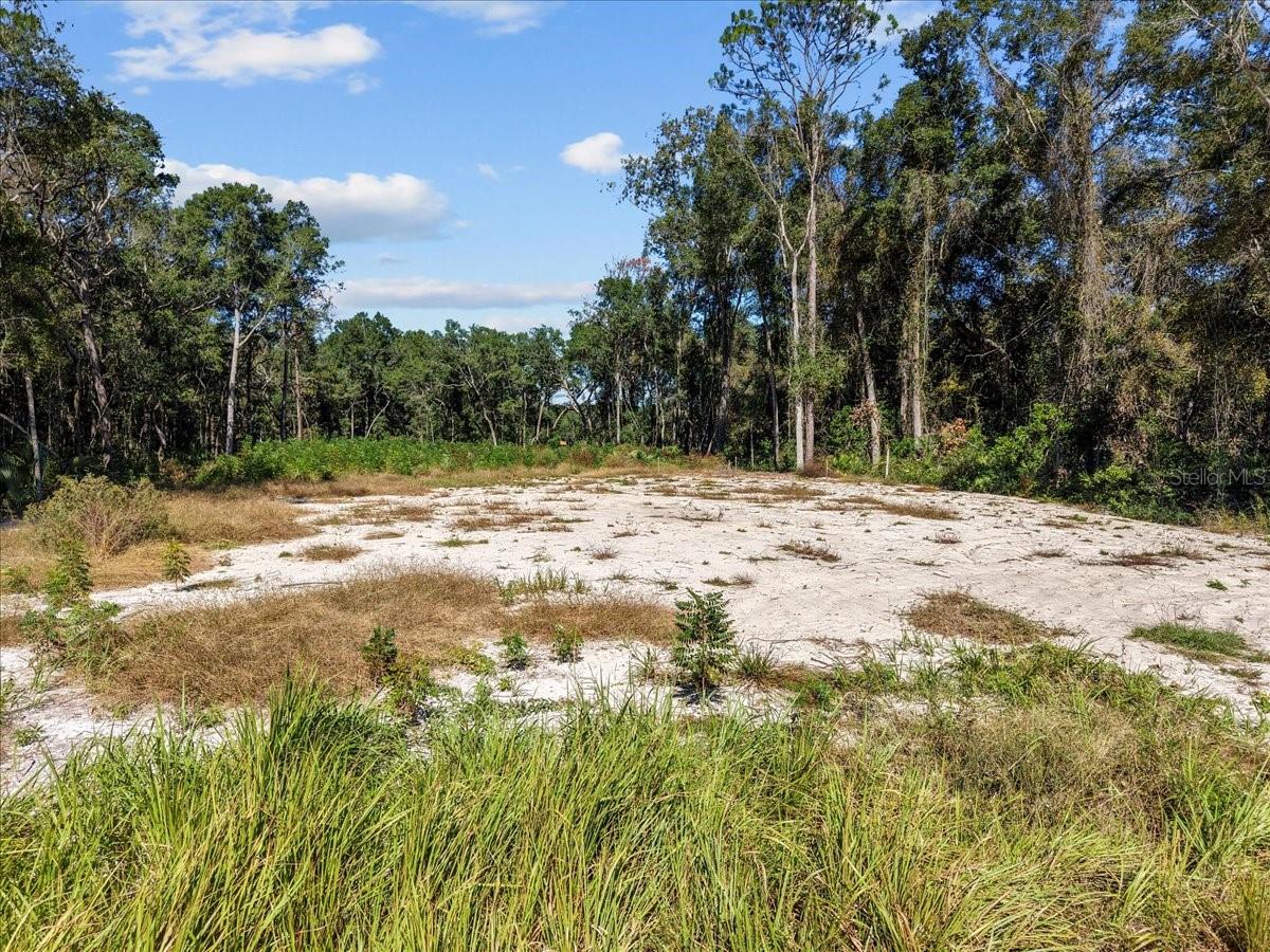 FANNIN SPGS ANX - Land