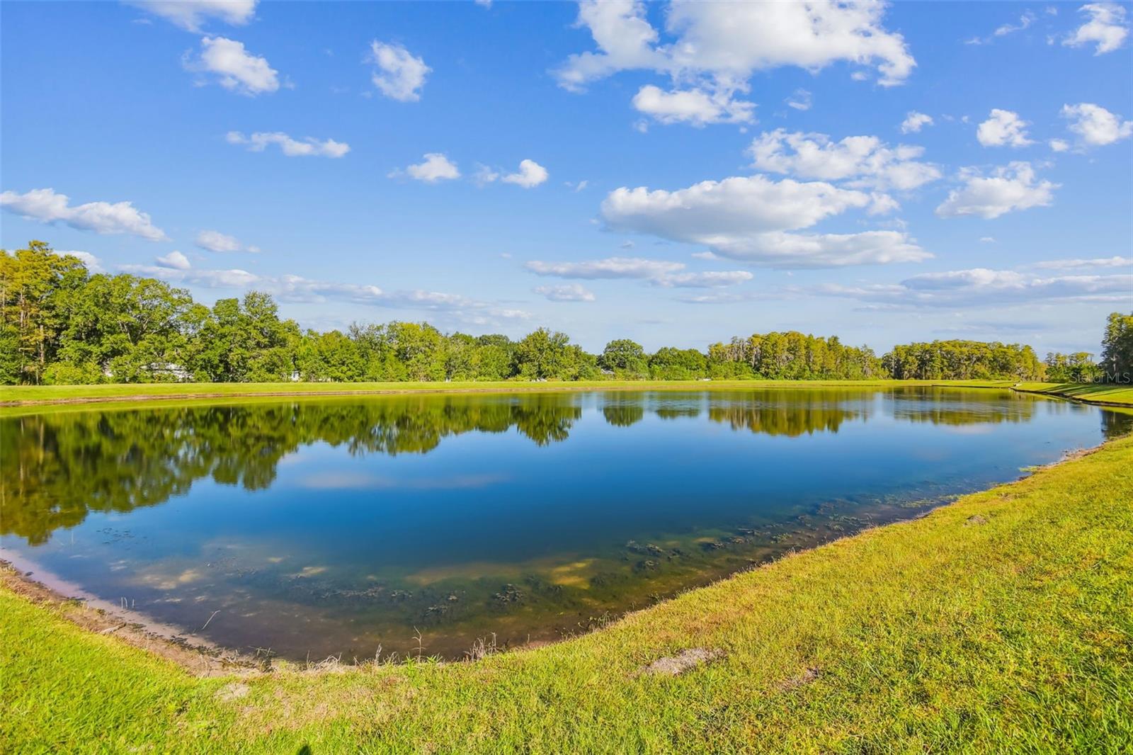 TOWNES AT CYPRESS RANCH - Residential