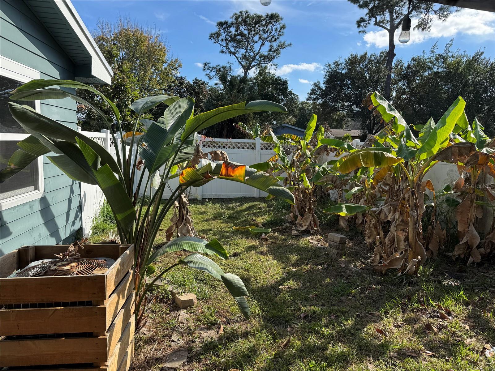 ST AUGUSTINE SHORES - Residential
