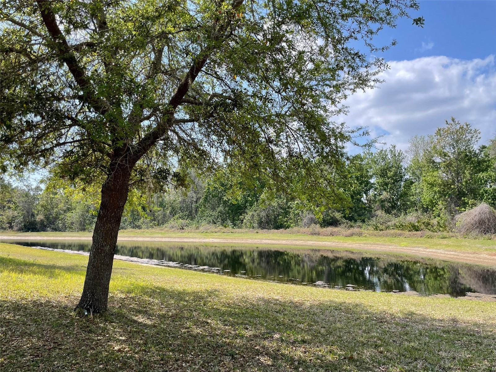 ASHEBROOK - Residential Lease