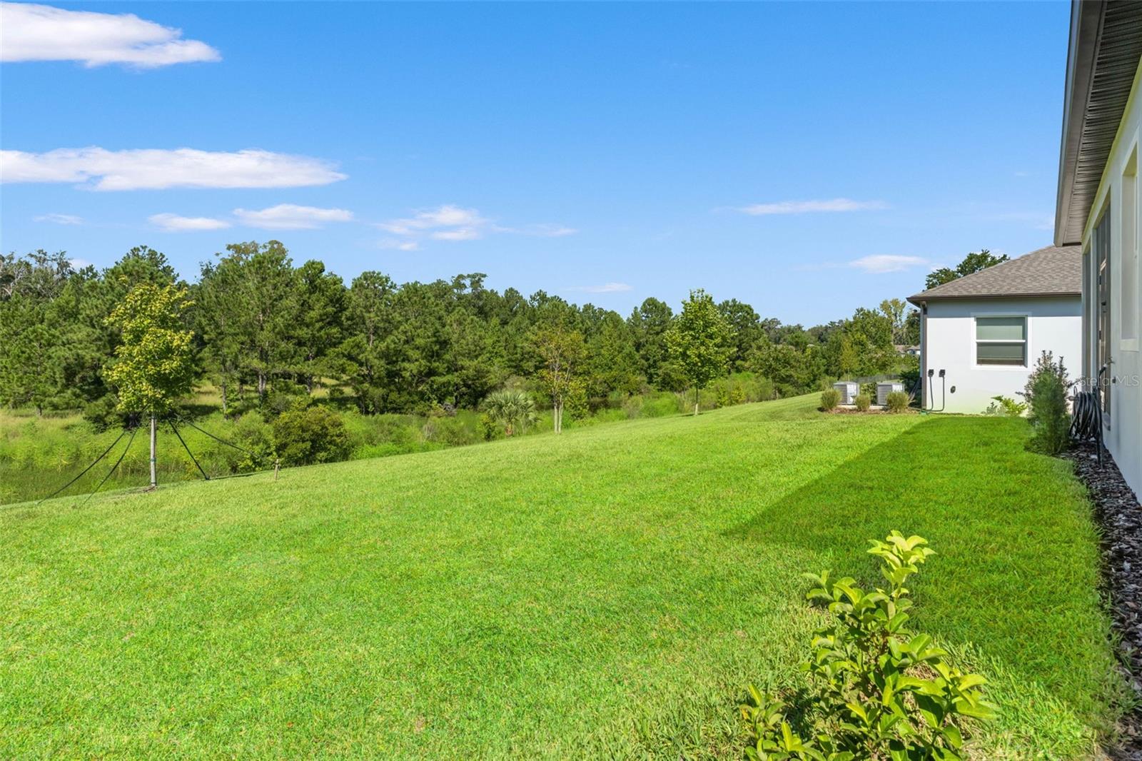 4513 SOUTHERN VALLEY LOOP