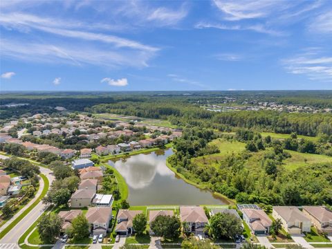 A home in LAND O LAKES