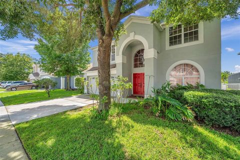 A home in LAND O LAKES