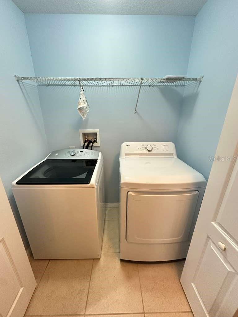 10816 CABBAGE TREE LOOP