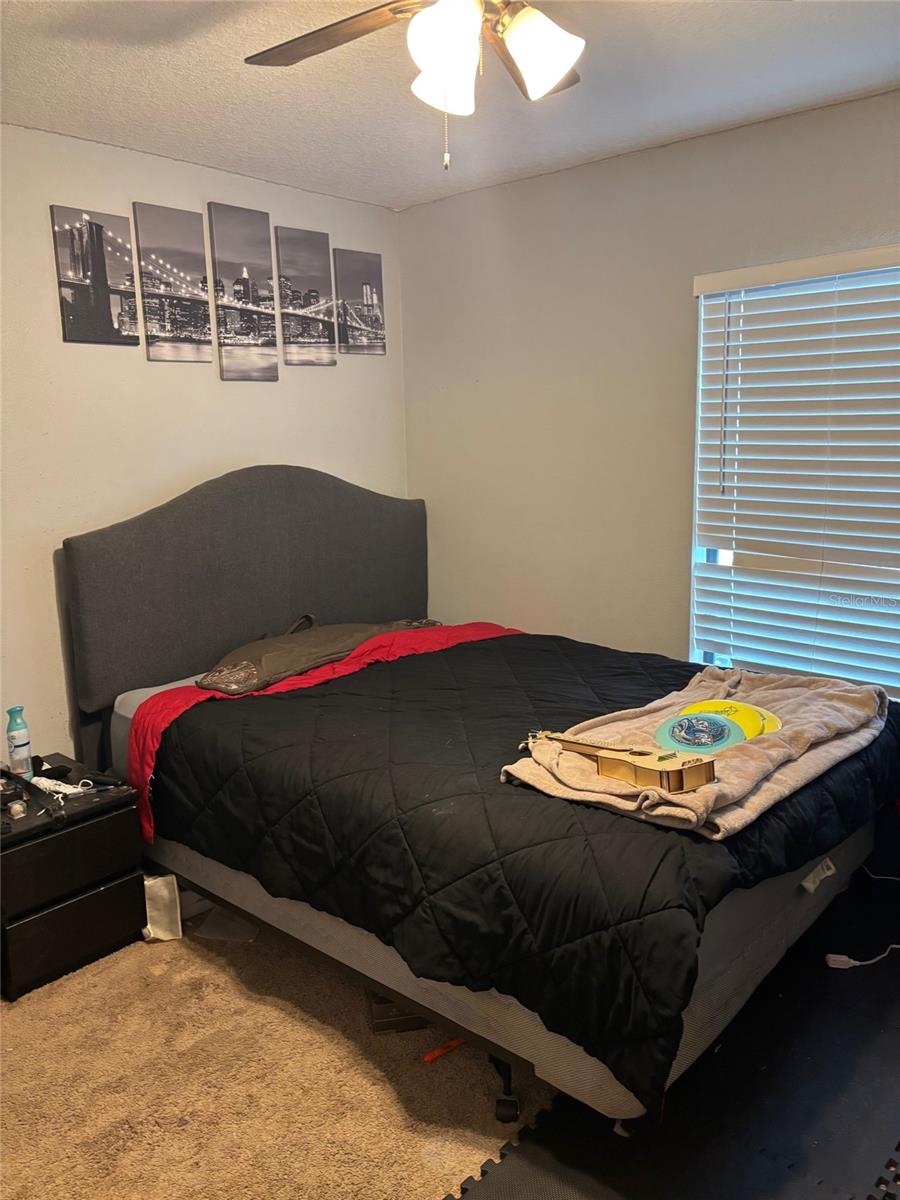 MASCOTTE LAKE JACKSON RIDGE PH 02 - Residential