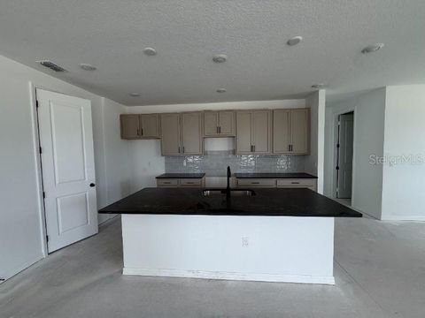 Tiny photo for 30155 Rustic Mill St, Mount Dora, FL 32757 (MLS # O6306973)