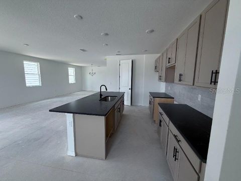 Tiny photo for 30155 Rustic Mill St, Mount Dora, FL 32757 (MLS # O6306973)