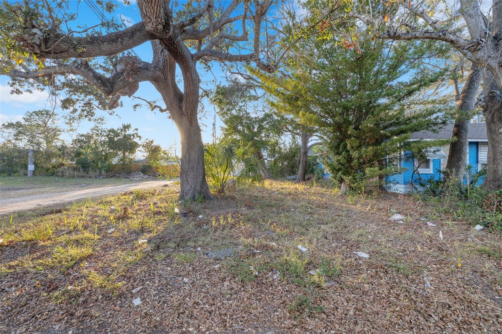 GOODALE RESUB - Land