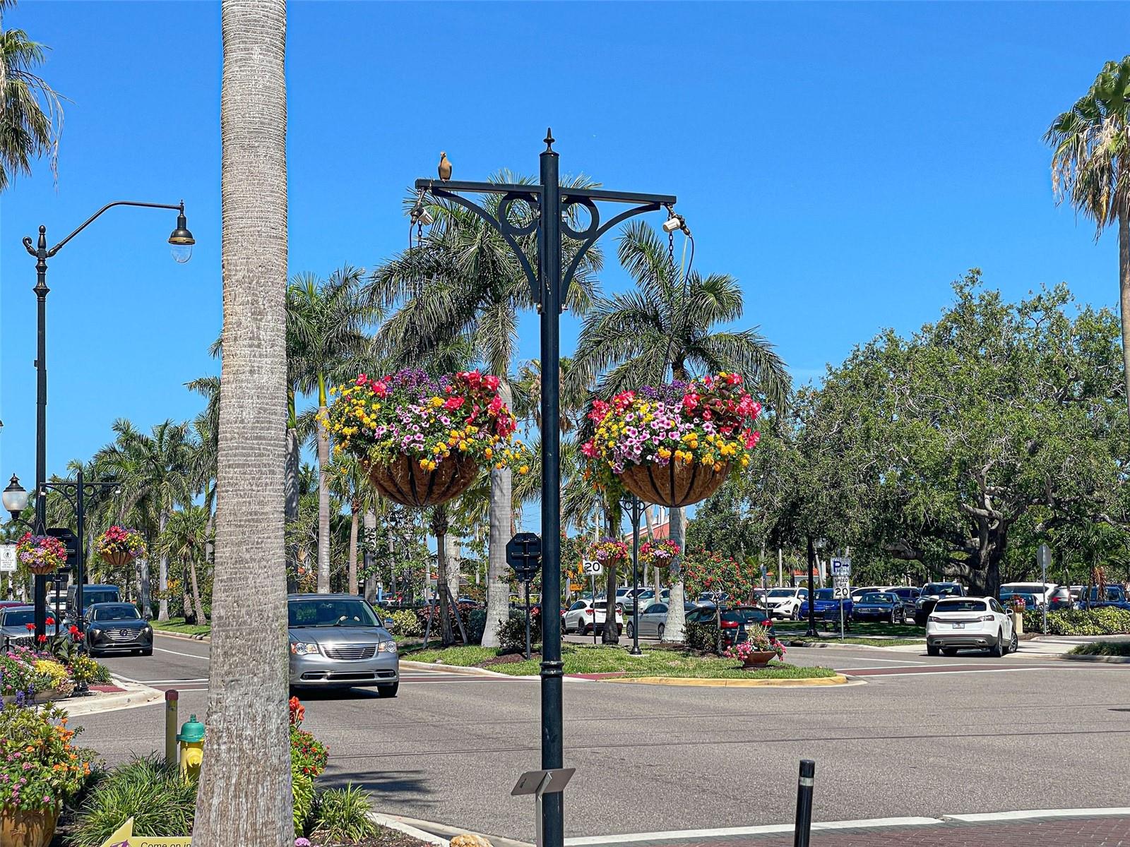 PURITAN ARMS - Residential