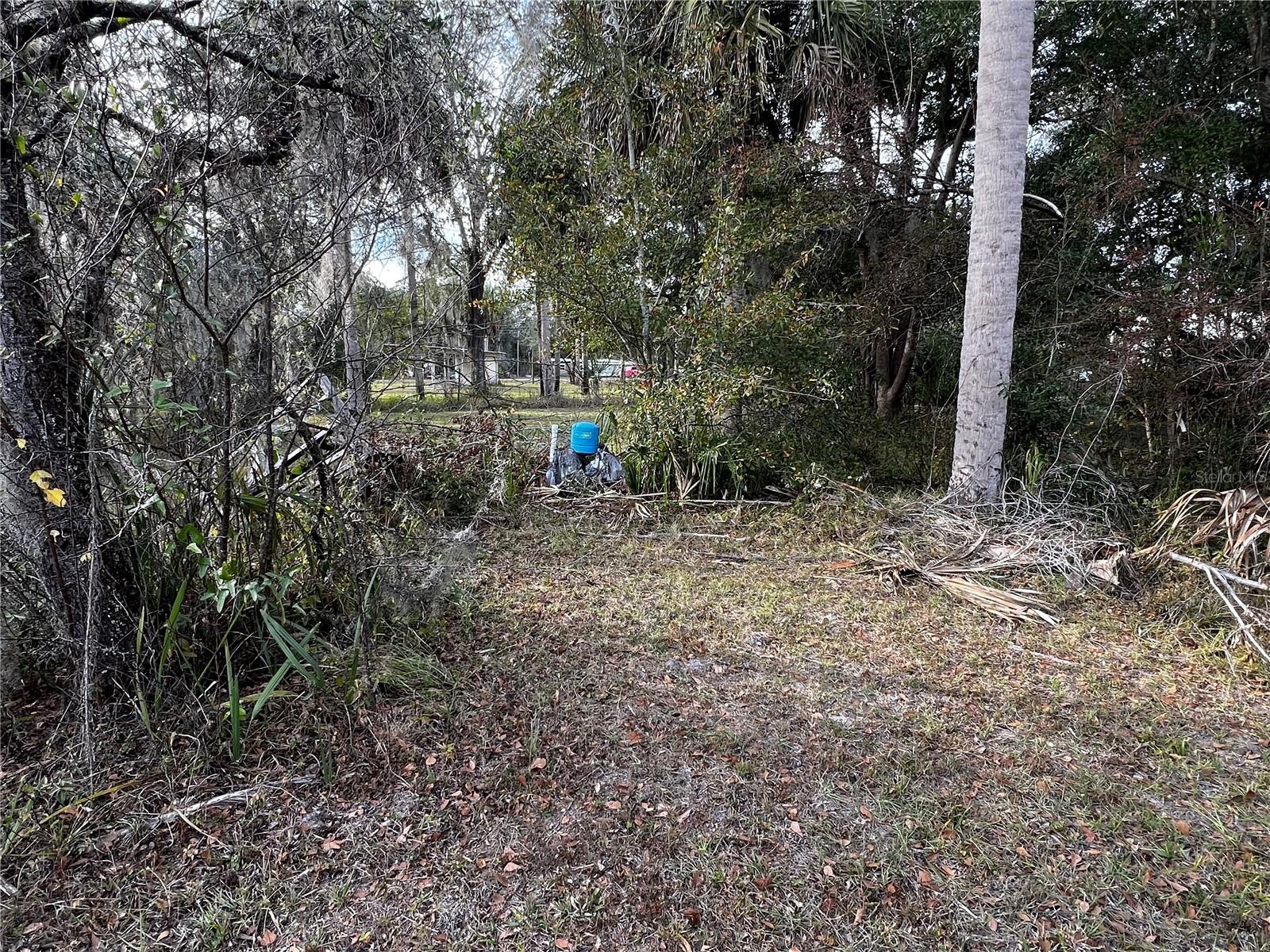 INGLEWOOD ESTATE - Residential