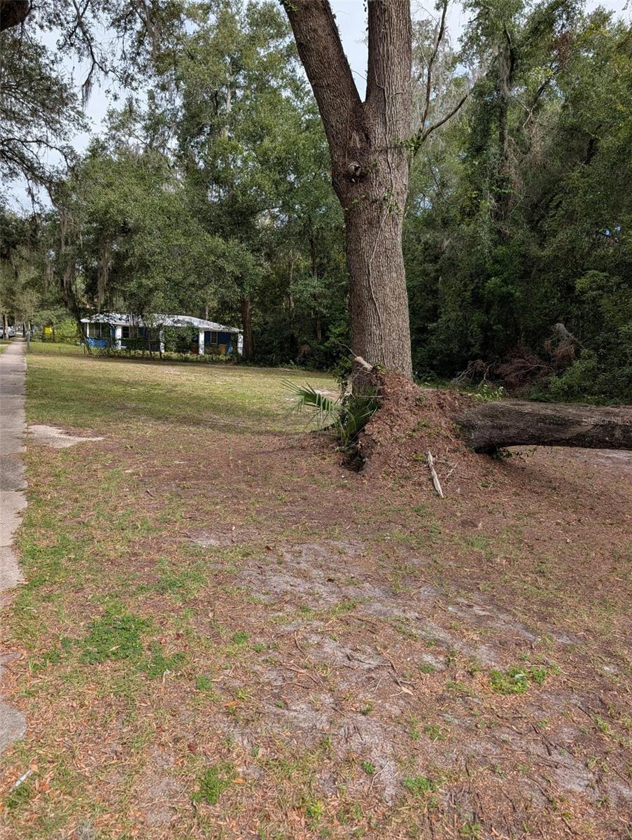 245 SE 15TH STREET