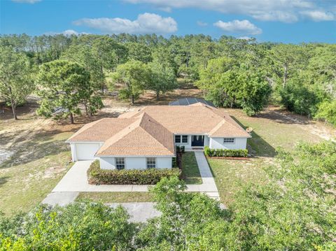 Photo of 1717 W Kelly Park Road, Apopka, FL 32712 (MLS # O6405421)