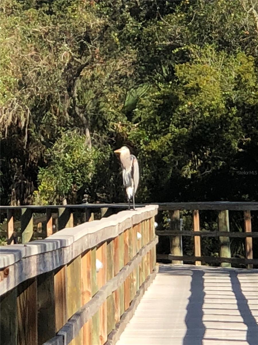 HARBORAGE ON BRADEN RIVER III PH III - Residential