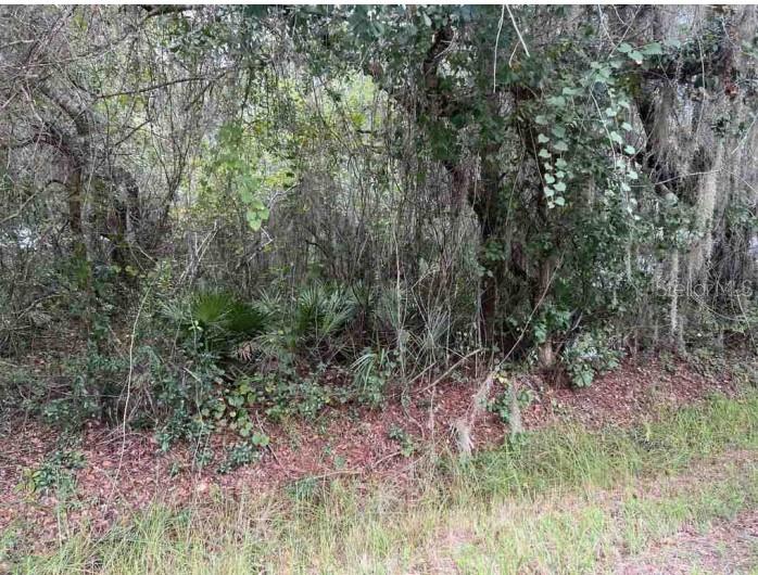 TIOTIE BEACH ESTATES - Land