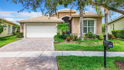 Single Family Residence in WIMAUMA FL 16135 CAPE CORAL DRIVE.jpg