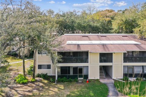 A home in TEMPLE TERRACE