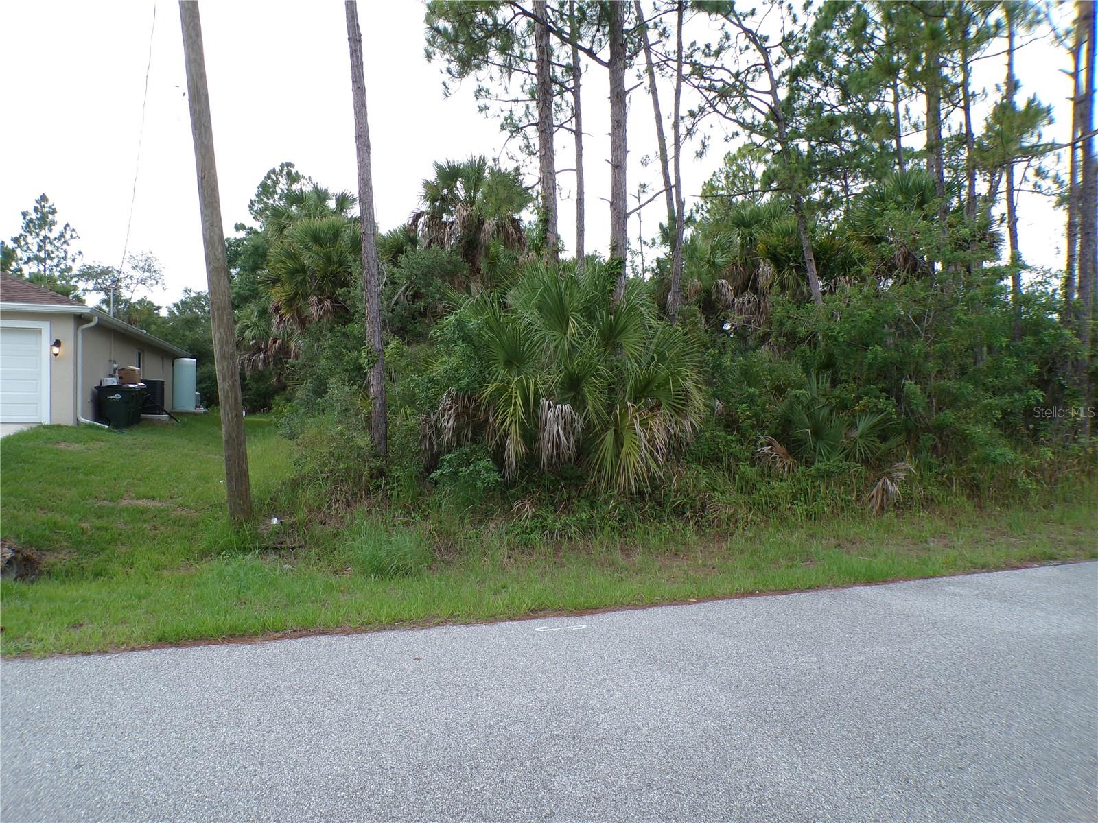CHICKASAW AVENUE