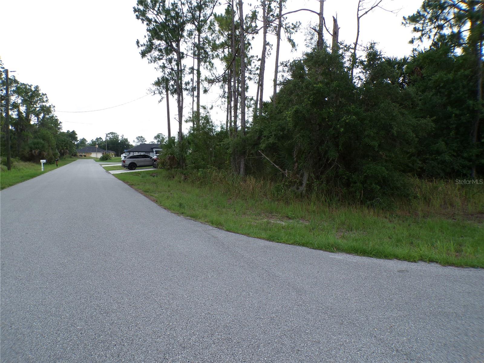 CHICKASAW AVENUE