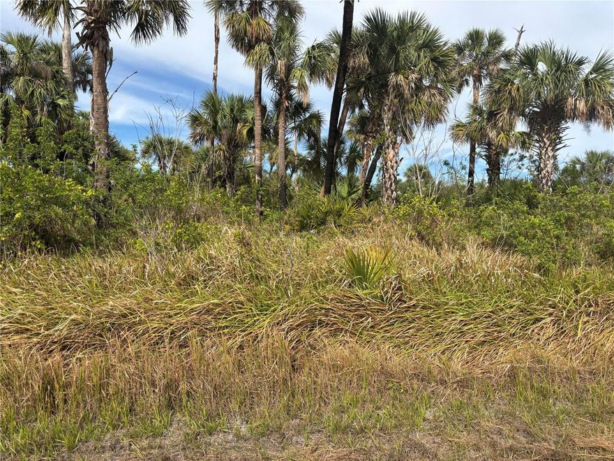 Discover the perfect opportunity to build your dream home in the rapidly growing city of North Port, FL. This spacious lot offers incredible value at an excellent price. making this a smart investment for builders or individuals looking to create their own custom residence. Key features include desirable location and no flood zone. Situated in a peaceful, family friendly neighborhood, this lot provides the perfect balance of privacy and accessibility to nearby amenities. Development potential: Ready for your own vision, this lot offers ample space to design and build a single family home, with plenty of room for a pool, garden, or outdoor living space. Close to schools, parks, dining, medical facilities, ensuring a comfortable and convenient lifestyle for future homeowners. North Port is one of Florida's fastest growing cities, with ongoing infrastructure improvements and new develoments driving demand. Secure your piece of this thriving market now!