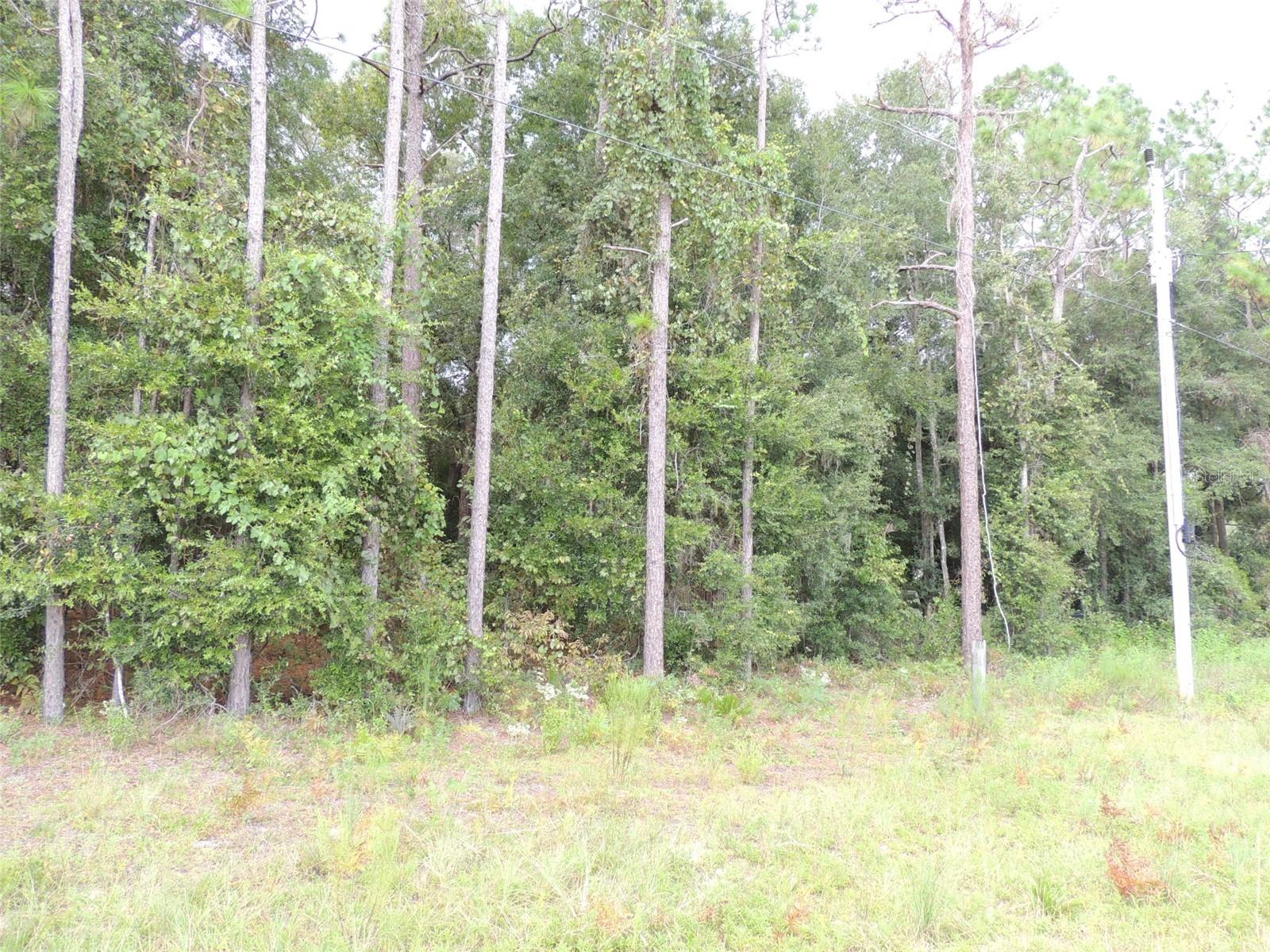 UNIVERSITY OAKS - Land