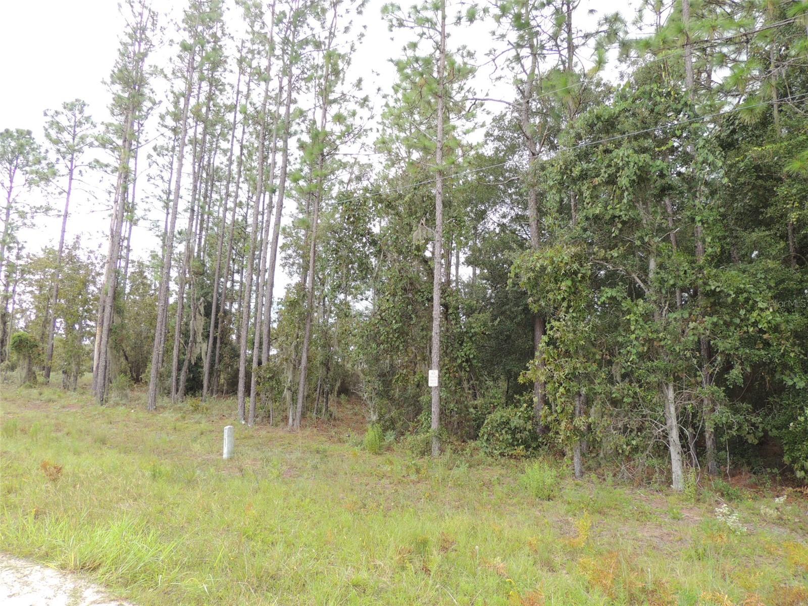 UNIVERSITY OAKS - Land