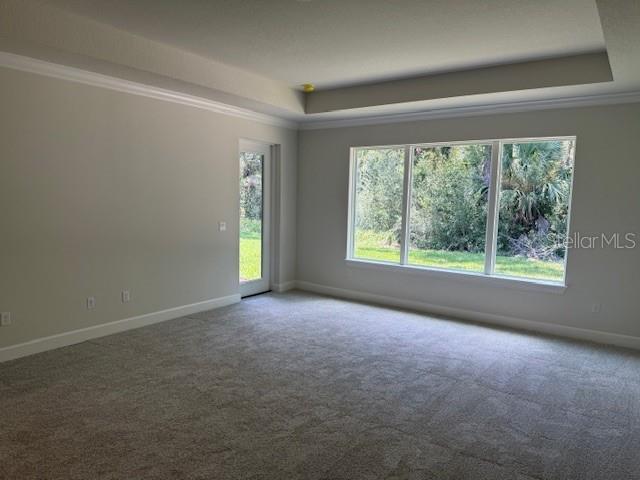 263 STIRLING BRIDGE DRIVE
