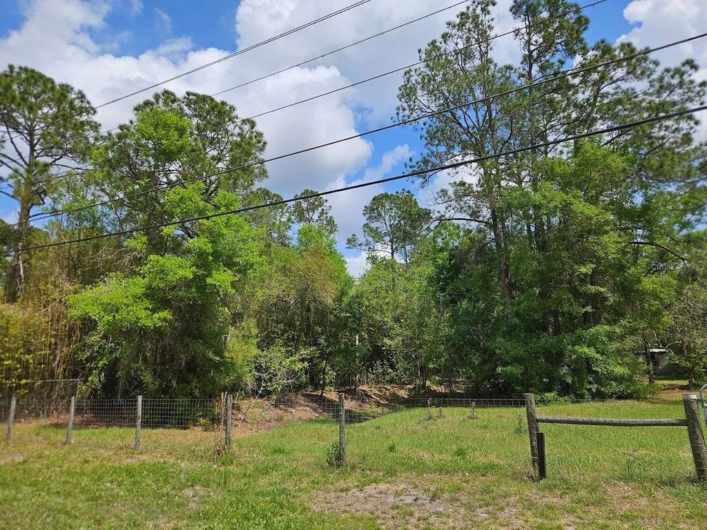 Photo of 1909 Creekwood Run, Lakeland, FL 33809 (MLS # O6398527)