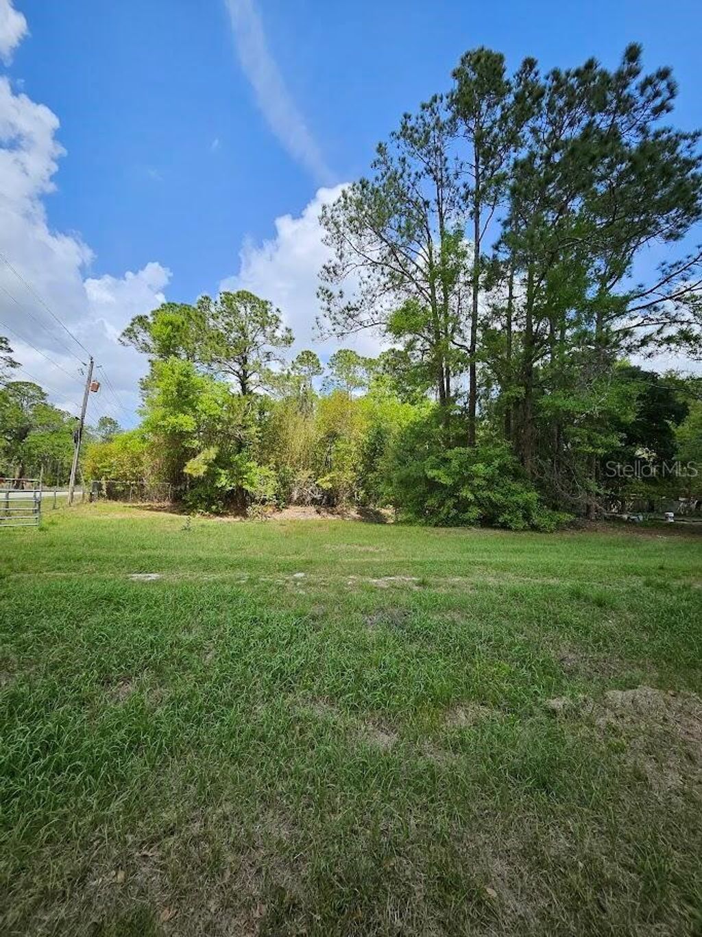 Photo of 1909 Creekwood Run, Lakeland, FL 33809 (MLS # O6398527)