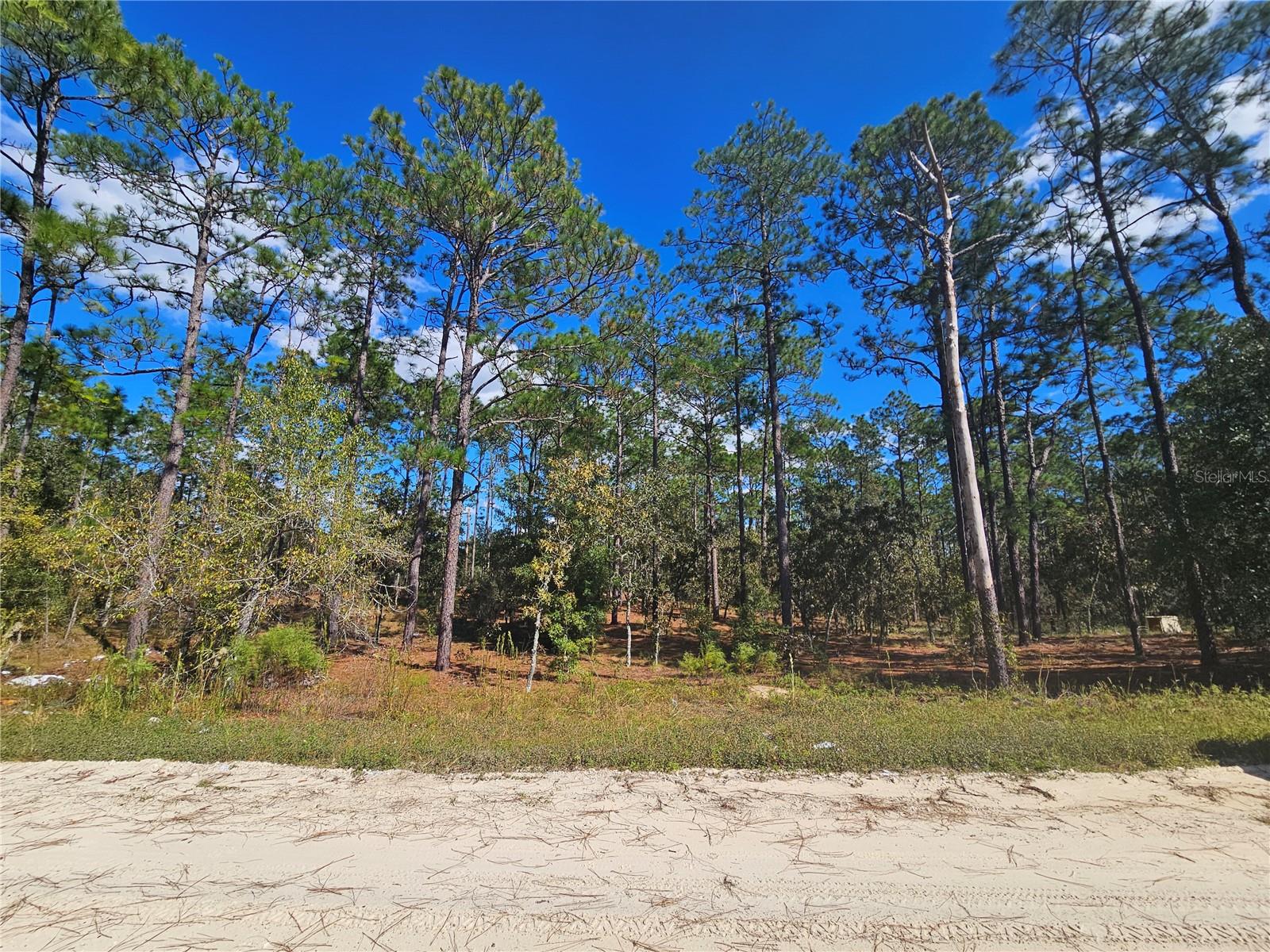 REPLAT WILLISTON HIGHLANDS UNIT 5 - Land