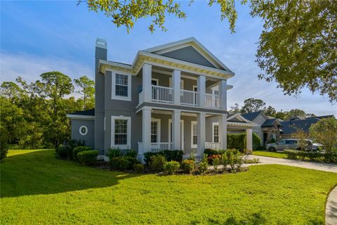 14617 TUDOR CHASE DRIVE TAMPA FL 33626