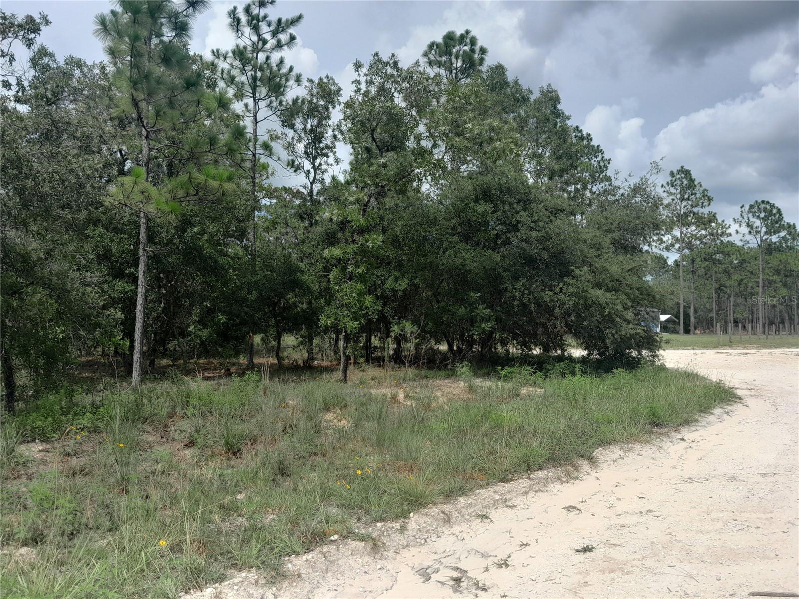 REPLAT WILLISTON HIGHLANDS UNIT 5 - Land