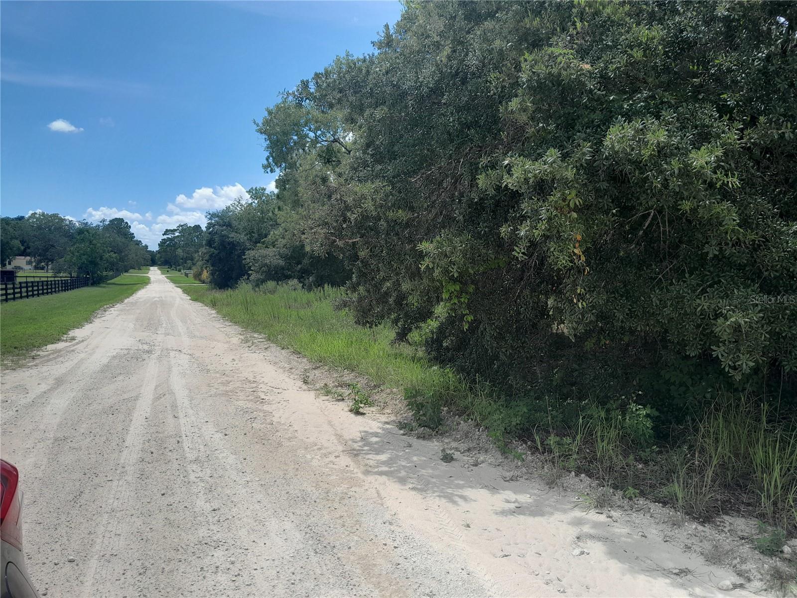 EXCELLENT CORNER 1.25 ACRE LOT with lots of green lush pines and oak trees. Land is high & dry, no flood zone and no HOA. Perfect place to build a home or place a manufactured home. Parcel measures about 165' X 330'. Just minutes to Williston for shopping, salons, restaurants, diving, horse events etc.
Only 30 minutes to Gainesville, Ocala, Cedar Key. Dimensions were taken from Property appraisers site.