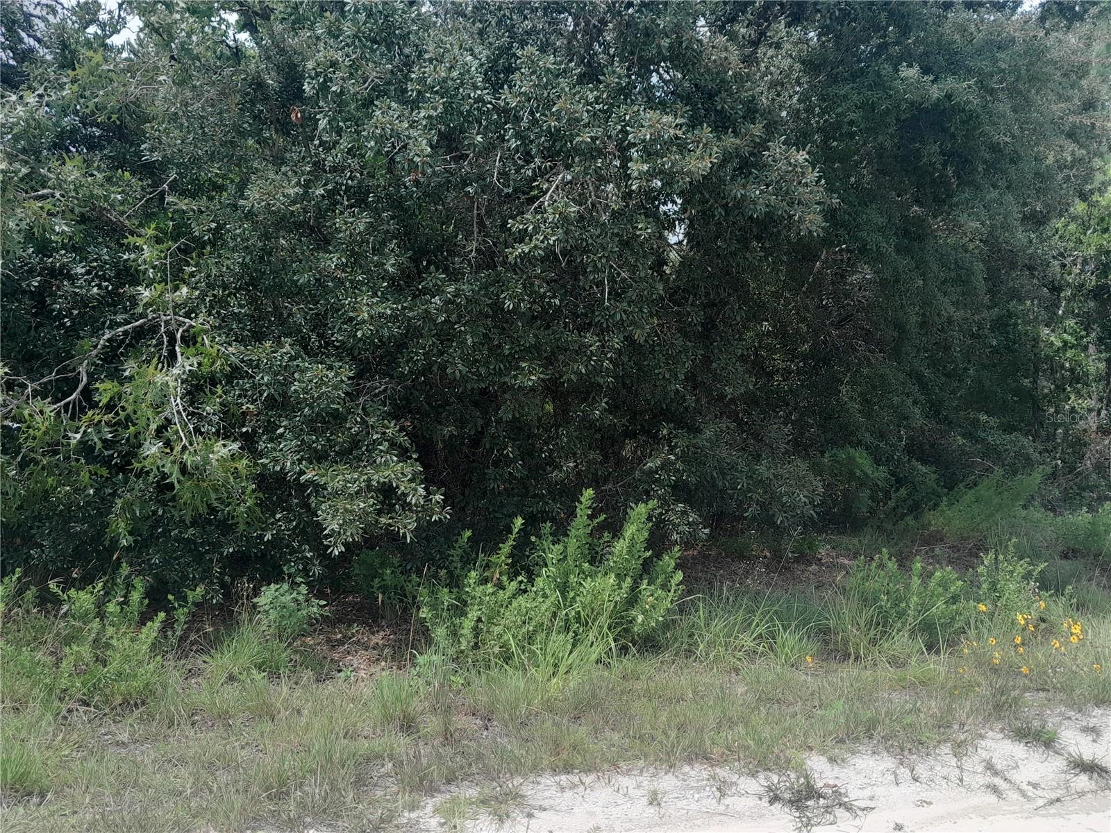 REPLAT WILLISTON HIGHLANDS UNIT 5 - Land